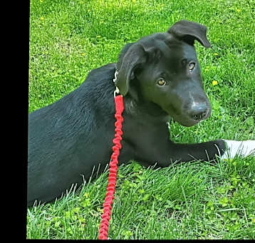 Photo of Rosalind