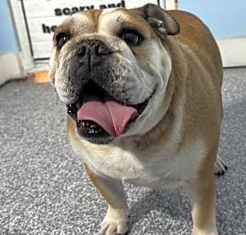 Photo of DeeDee