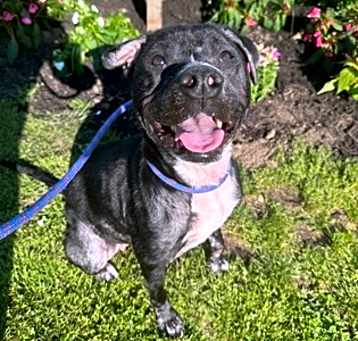 Photo of Nena