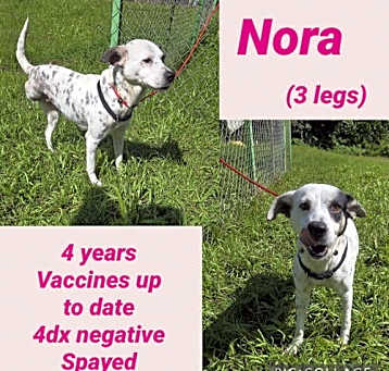Photo of Nora