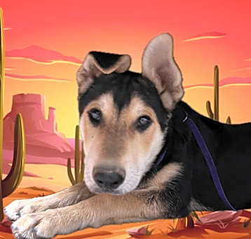 Photo of AZOTE