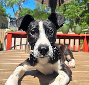 Photo of Mia