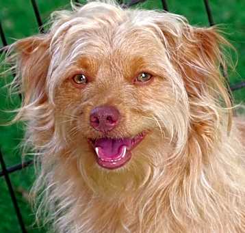 Photo of Milo