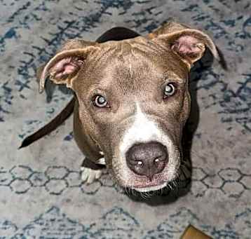 Photo of Zues
