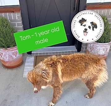 Photo of Tom