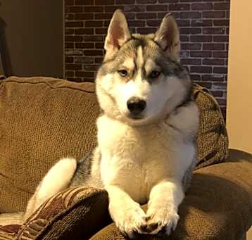 Photo of Flash