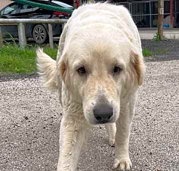 Photo of Delilah