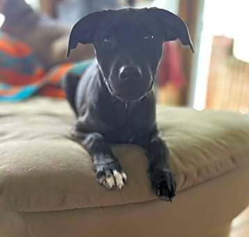 Photo of Jocasta