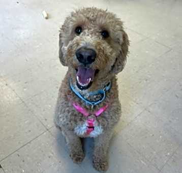Photo of Sophie