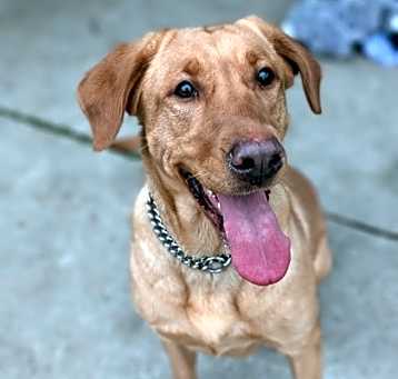 Photo of Annie