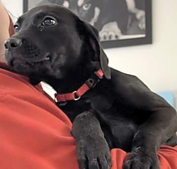 Photo of GROVER