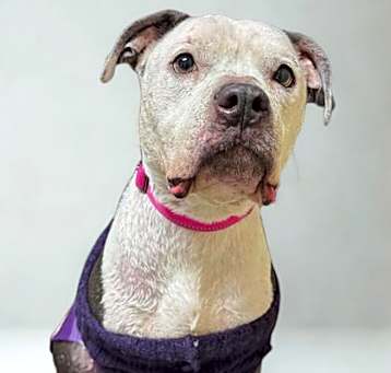 Photo of Mable