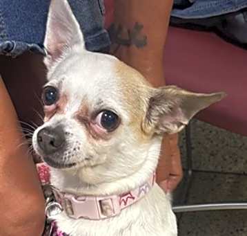 Photo of LULU