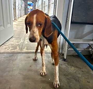 Photo of Betty