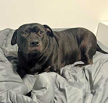 Photo of Duke
