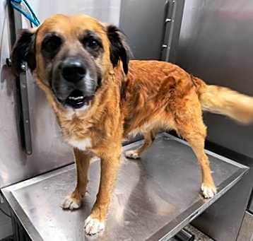 Photo of Tucker