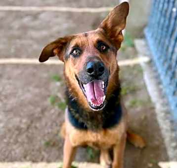 Photo of TACO
