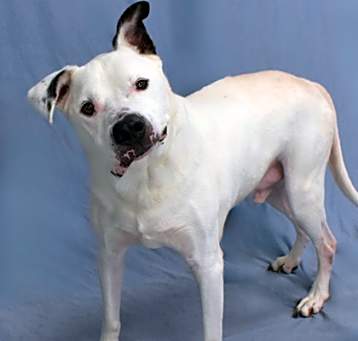 Photo of Chico 116-25