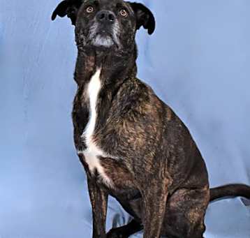 Photo of Betty 1609-22