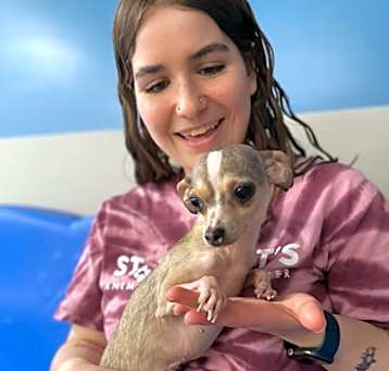 Photo of Yuki- In Foster