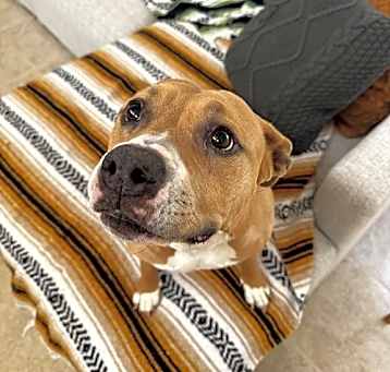 Photo of NALA #9