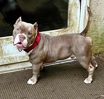 Photo of Zeus