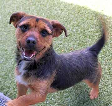 Photo of BUTTERS