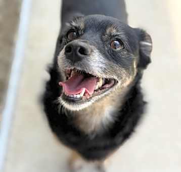 Photo of Tasha