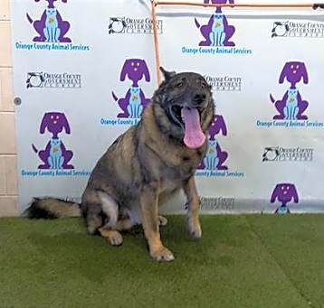 Photo of COCO
