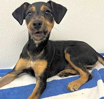 Photo of Axel