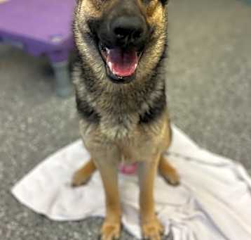 Photo of Maeve