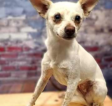 Photo of Molly