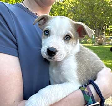 Photo of NY Waylon May 17 (Kent)