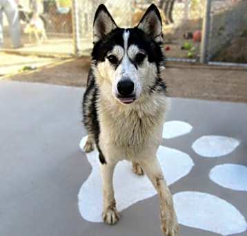 Photo of Nellie