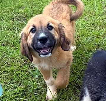 Photo of Annie