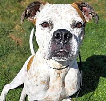 Photo of Lucy