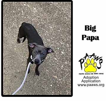 Photo of Big Papa