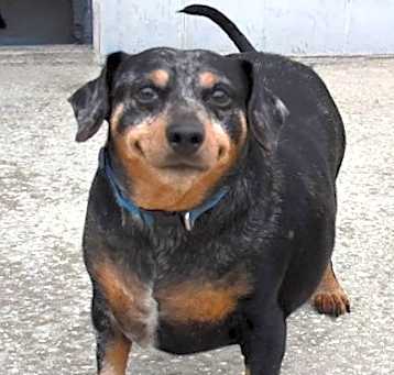Photo of Fred