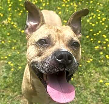 Photo of Luther