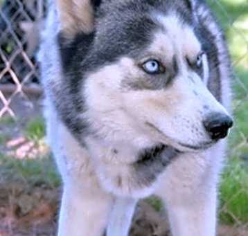 Photo of Trace
