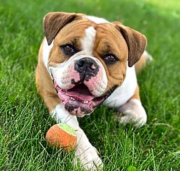 Photo of Fiona
