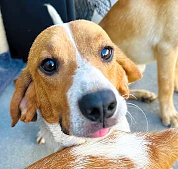 Photo of Andy (20) - Costa Mesa Location 