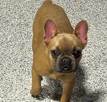 Photo of Jayla