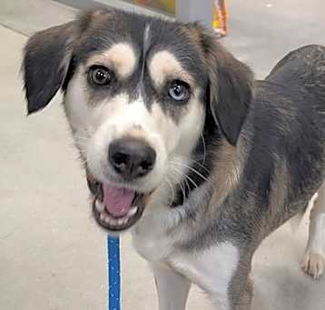 Photo of Jaxie