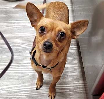 Photo of Baja