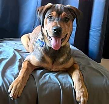 Photo of Patsy