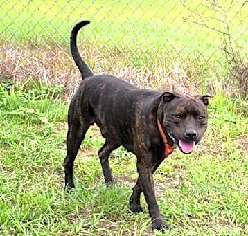 Photo of Tank