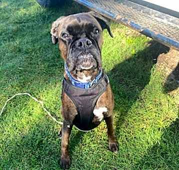 Photo of Lucy