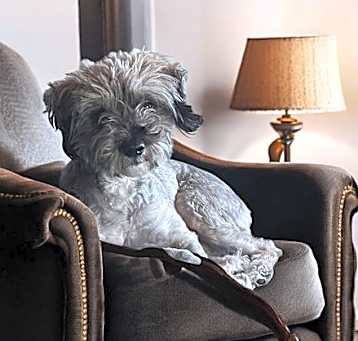 Photo of Sola