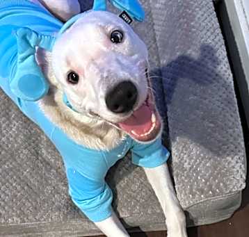 Photo of Oliver